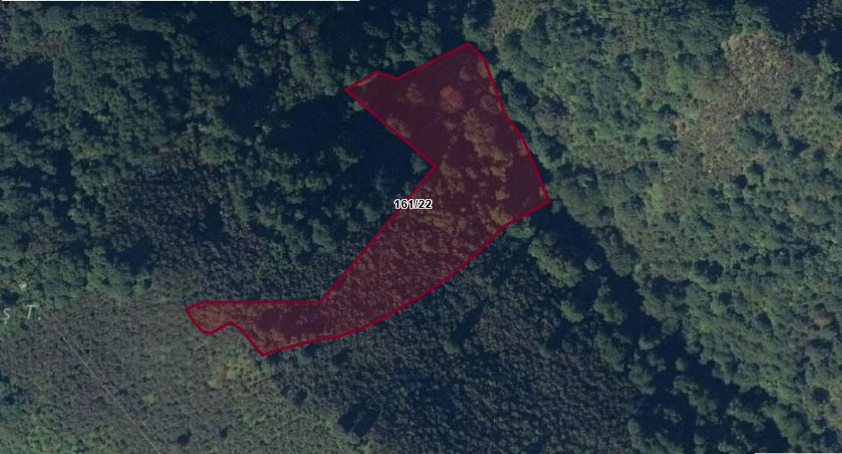 KEŞAP DÜZKÖY SATILIK BAHÇE